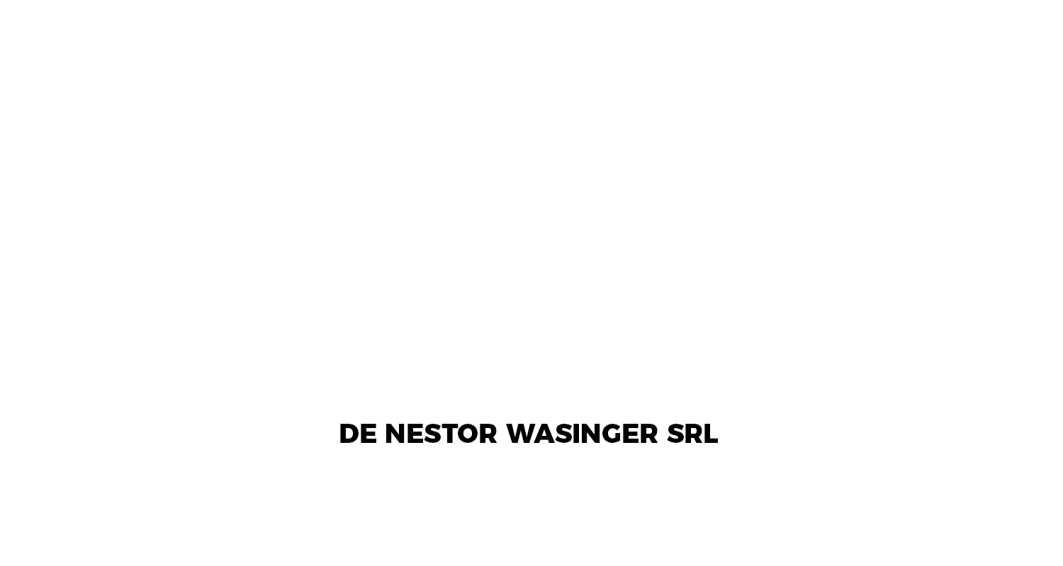 Logo Wasinger